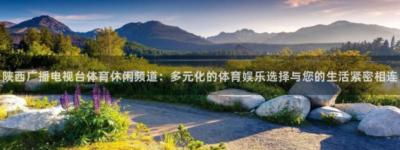 征途国际pg登录入口下载：陕西广播电视台体育休闲频道：多元化的体育娱乐选择与您的生活紧密相连