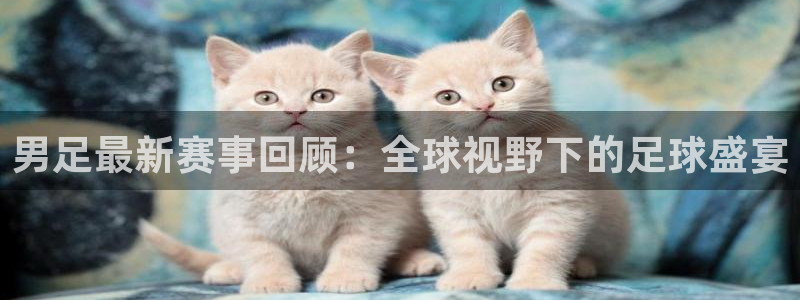 征途国际cg：男足最新赛事回顾：全球视野下的足球盛宴